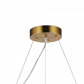 Подвесная люстра Favourite Magnitudo 2206-12P в Соликамске - solikamsk.mebel24.online | фото 7