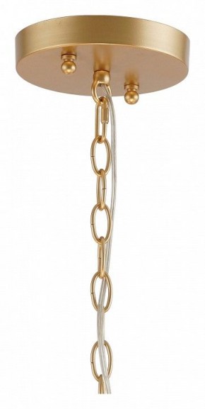 Подвесная люстра Favourite Mateo 2634-8P в Соликамске - solikamsk.mebel24.online | фото 12