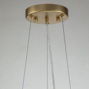 Подвесная люстра Favourite Rays 4058-8P в Соликамске - solikamsk.mebel24.online | фото 10
