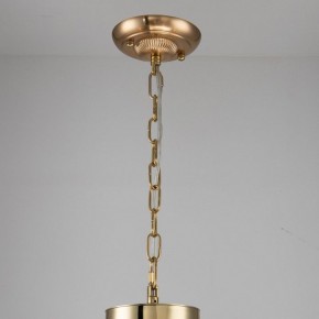 Подвесная люстра Favourite Rocca 2689-6P в Соликамске - solikamsk.mebel24.online | фото 4