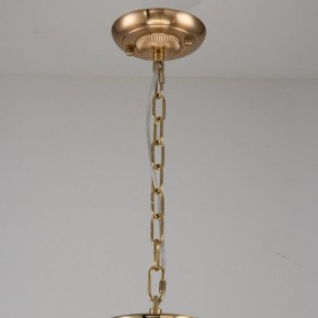 Подвесная люстра Favourite Rocca 2689-9P в Соликамске - solikamsk.mebel24.online | фото 2