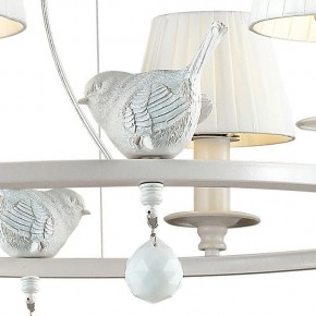 Подвесная люстра Favourite Vogel 1705-6P в Соликамске - solikamsk.mebel24.online | фото 4