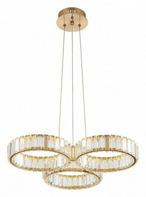 Подвесная люстра Indigo Favo V000073L в Соликамске - solikamsk.mebel24.online | фото 3