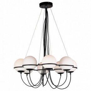 Подвесная люстра Lightstar Globo 803287 в Соликамске - solikamsk.mebel24.online | фото 3