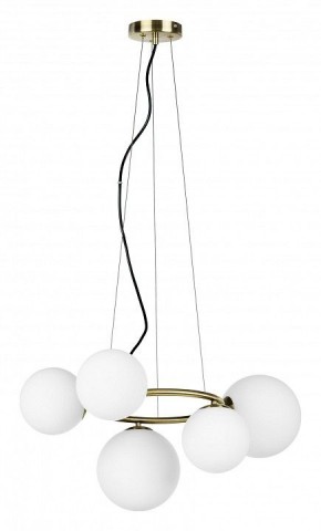 Подвесная люстра Lightstar Globo 815051 в Соликамске - solikamsk.mebel24.online | фото 2
