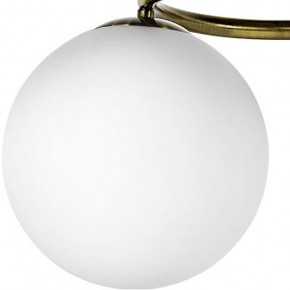 Подвесная люстра Lightstar Globo 815091 в Соликамске - solikamsk.mebel24.online | фото 3