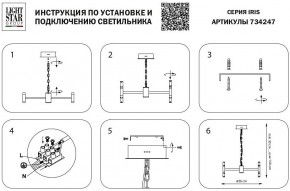 Подвесная люстра Lightstar Iris 734247 в Соликамске - solikamsk.mebel24.online | фото 4