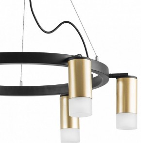 Подвесная люстра Lightstar Rullo LR0164061 в Соликамске - solikamsk.mebel24.online | фото 4