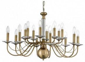 Подвесная люстра Lumion Incanto 8033/16 в Соликамске - solikamsk.mebel24.online | фото