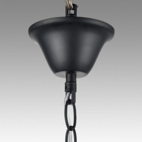 Подвесная люстра Lumion Nana 8106/6 в Соликамске - solikamsk.mebel24.online | фото 6
