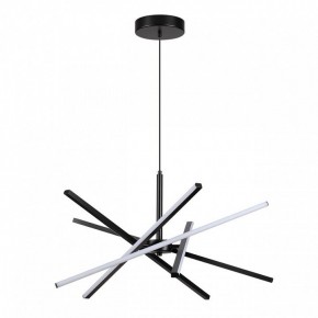 Подвесная люстра Lumion Parker 6563/60L в Соликамске - solikamsk.mebel24.online | фото 2