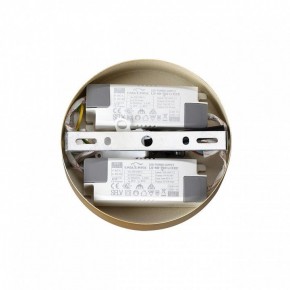 Подвесная люстра Lumion Parker 6564/60L в Соликамске - solikamsk.mebel24.online | фото 6