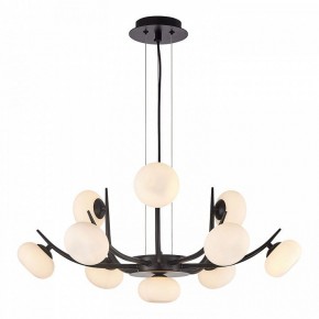 Подвесная люстра Lussole Blubber LSP-8937 в Соликамске - solikamsk.mebel24.online | фото 3