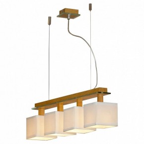 Подвесная люстра Lussole Montone LSF-2503-04 в Соликамске - solikamsk.mebel24.online | фото 2