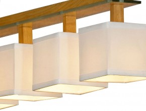 Подвесная люстра Lussole Montone LSF-2503-04 в Соликамске - solikamsk.mebel24.online | фото 3
