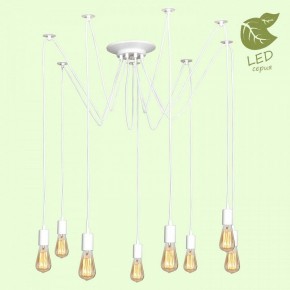 Подвесная люстра Lussole Shirley GRLSP-8173 в Соликамске - solikamsk.mebel24.online | фото 3