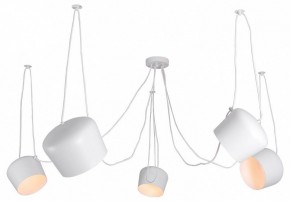 Подвесная люстра Lussole Shirley LSP-8175 в Соликамске - solikamsk.mebel24.online | фото