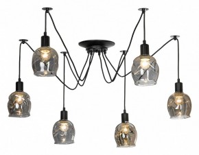 Подвесная люстра Lussole Shirley LSP-8436 в Соликамске - solikamsk.mebel24.online | фото 2