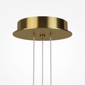 Подвесная люстра Maytoni Arana MOD401PL-L108BS3K в Соликамске - solikamsk.mebel24.online | фото 7