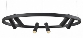 Подвесная люстра Maytoni Halo MOD102PL-L42BK в Соликамске - solikamsk.mebel24.online | фото