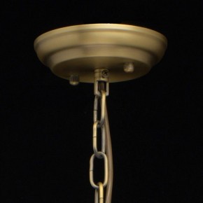 Подвесная люстра MW-Light Альгеро 3 285010703 в Соликамске - solikamsk.mebel24.online | фото 14