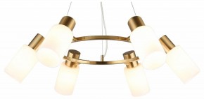 Подвесная люстра Omnilux Ales OML-69103-06 в Соликамске - solikamsk.mebel24.online | фото