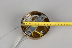 Подвесная люстра Omnilux Ales OML-69103-06 в Соликамске - solikamsk.mebel24.online | фото 11
