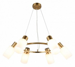 Подвесная люстра Omnilux Ales OML-69103-06 в Соликамске - solikamsk.mebel24.online | фото 2