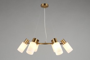 Подвесная люстра Omnilux Ales OML-69103-06 в Соликамске - solikamsk.mebel24.online | фото 4