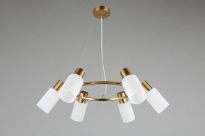 Подвесная люстра Omnilux Ales OML-69103-06 в Соликамске - solikamsk.mebel24.online | фото 5