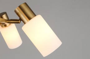 Подвесная люстра Omnilux Ales OML-69103-06 в Соликамске - solikamsk.mebel24.online | фото 9