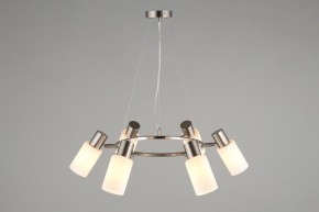 Подвесная люстра Omnilux Ales OML-69113-06 в Соликамске - solikamsk.mebel24.online | фото 6