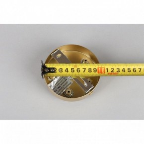 Подвесная люстра Omnilux Cavriglia OML-52803-08 в Соликамске - solikamsk.mebel24.online | фото 13