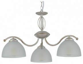 Подвесная люстра Rivoli Valerie Б0060979 в Соликамске - solikamsk.mebel24.online | фото