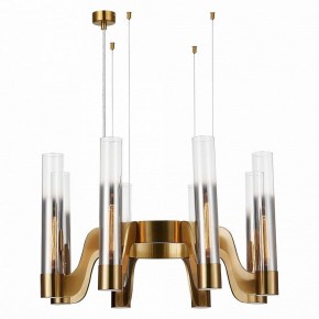 Подвесная люстра ST-Luce Ettore SL1235.303.08 в Соликамске - solikamsk.mebel24.online | фото 3