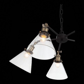 Подвесная люстра ST-Luce Evoluto SL237.413.05 в Соликамске - solikamsk.mebel24.online | фото 7