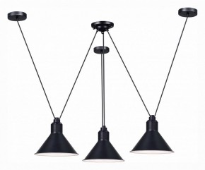 Подвесная люстра ST-Luce Svevo SL1804.403.03 в Соликамске - solikamsk.mebel24.online | фото 2