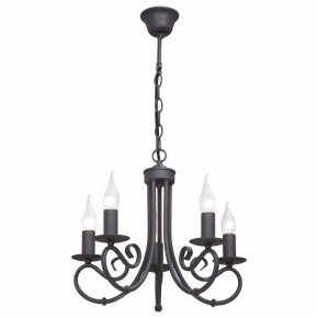 Подвесная люстра Vitaluce 3407 V3407/5 в Соликамске - solikamsk.mebel24.online | фото 2
