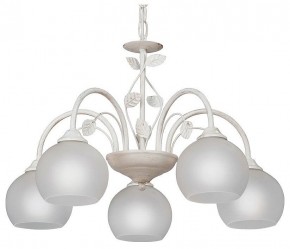 Подвесная люстра Vitaluce V3884 V3884-0/5 в Соликамске - solikamsk.mebel24.online | фото