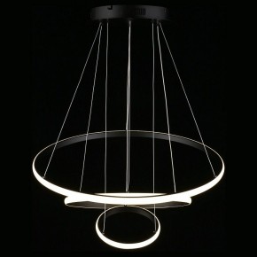 Подвесной светильник Aployt Janina APL.018.03.60 в Соликамске - solikamsk.mebel24.online | фото 12