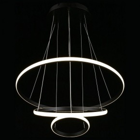Подвесной светильник Aployt Janina APL.018.03.60 в Соликамске - solikamsk.mebel24.online | фото 7