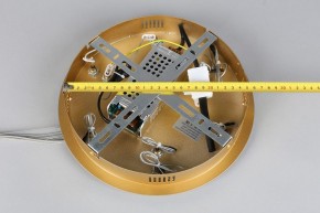 Подвесной светильник Aployt Janina APL.018.13.60 в Соликамске - solikamsk.mebel24.online | фото 11