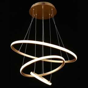 Подвесной светильник Aployt Janina APL.018.13.60 в Соликамске - solikamsk.mebel24.online | фото 3