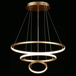 Подвесной светильник Aployt Janina APL.018.13.60 в Соликамске - solikamsk.mebel24.online | фото 4