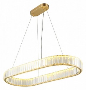 Подвесной светильник Aployt Nicoletta APL.026.03.70 в Соликамске - solikamsk.mebel24.online | фото 10