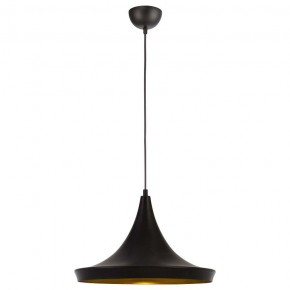 Подвесной светильник Arte Lamp Capello A3406SP-1BK в Соликамске - solikamsk.mebel24.online | фото 2