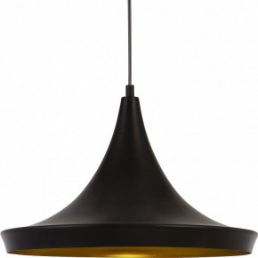 Подвесной светильник Arte Lamp Capello A3406SP-1BK в Соликамске - solikamsk.mebel24.online | фото 3