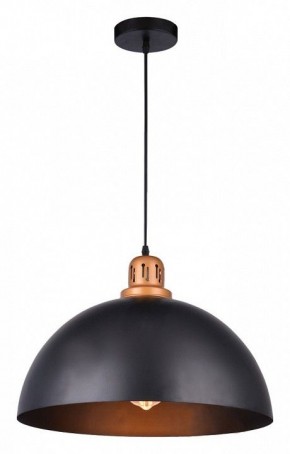 Подвесной светильник Arte Lamp Eurica A4249SP-1BK в Соликамске - solikamsk.mebel24.online | фото 2