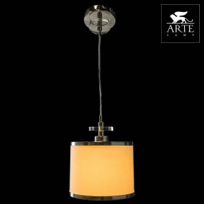 Подвесной светильник Arte Lamp Furore A3990SP-1CC в Соликамске - solikamsk.mebel24.online | фото 3