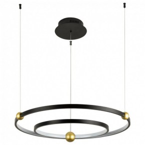 Подвесной светильник Divinare Amadeo 1123/04 SP-65 в Соликамске - solikamsk.mebel24.online | фото